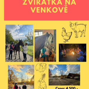 ZVÍŘÁTKA NA VENKOVĚ