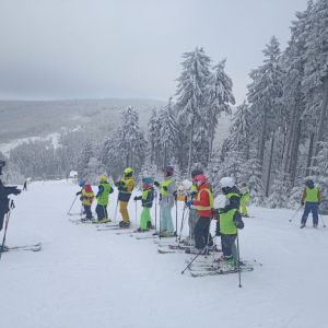 Lednové Déčko: Od zasněžených svahů až po indiánský karneval