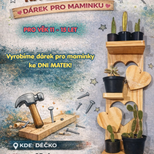 ŤUKNI HŘEBÍK NA HLAVIČKU - DÁREK PRO MAMINKU